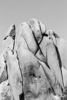 _OY_3486