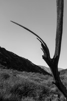 _DSF3755