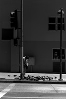 IMG_6432