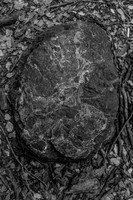 _DSF3428