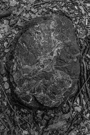 _DSF3428