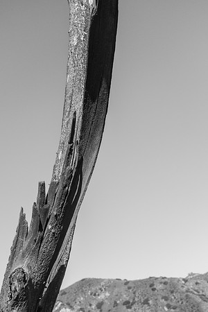 _DSF3764
