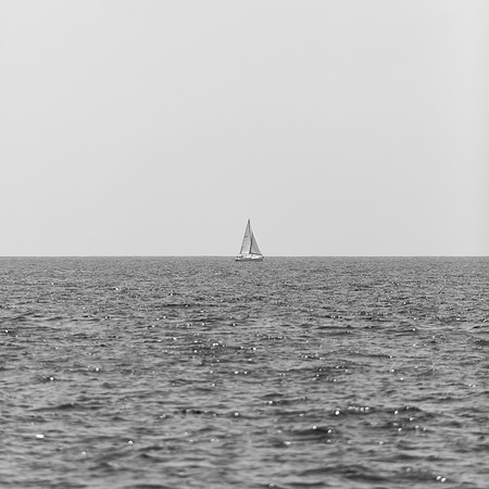_OY_8442