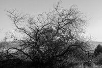 _DSF3741
