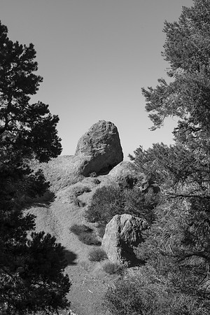_DSF4019