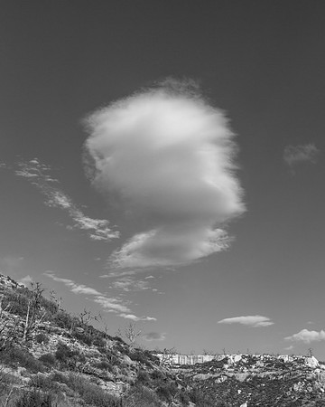 _OY_6776