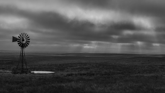 _OY_8104