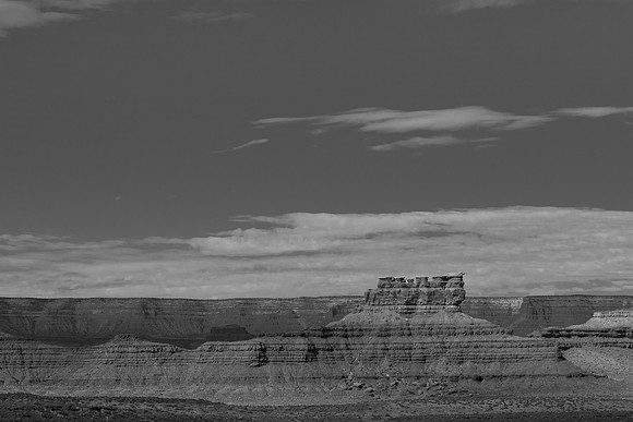 _OY_6498