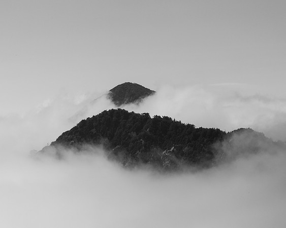 _OY_4321