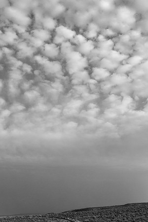 _OY_5466