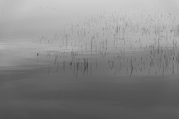 _OY_8693