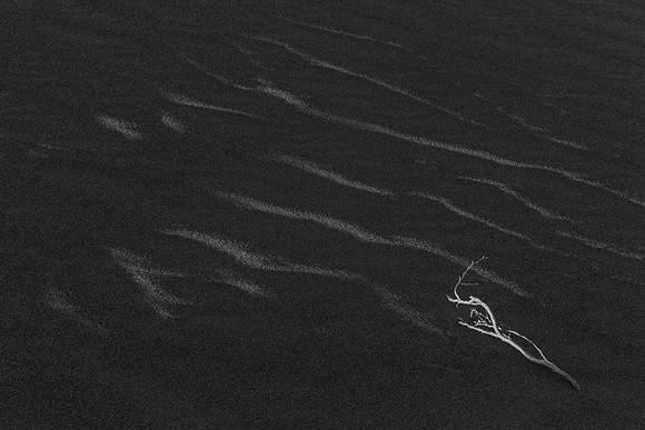 _OY_9343