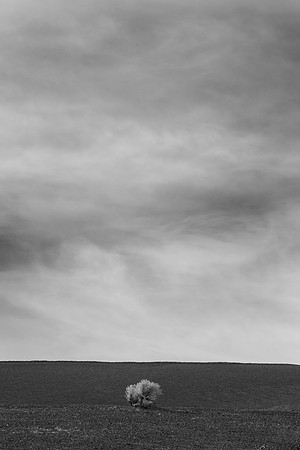 _OY_1862