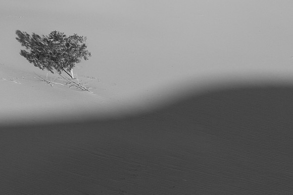 _OY_7546