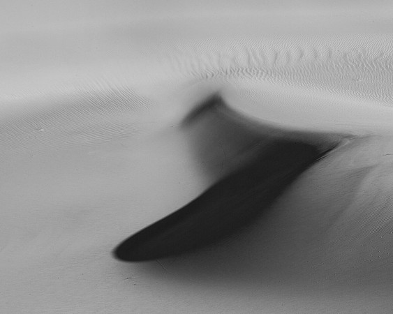 _OY_7819