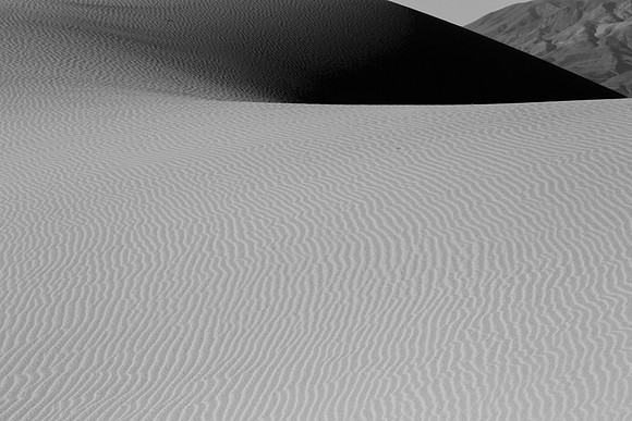 _OY_7796
