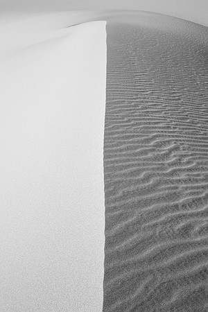 _OY_7886