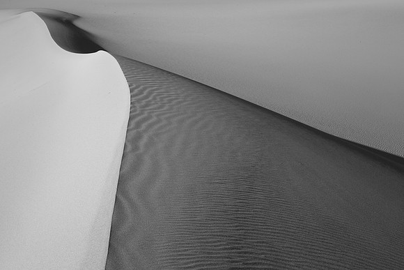 _OY_7853