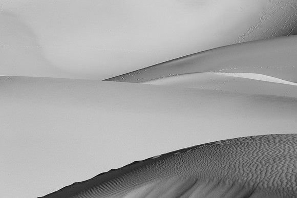 _OY_7558