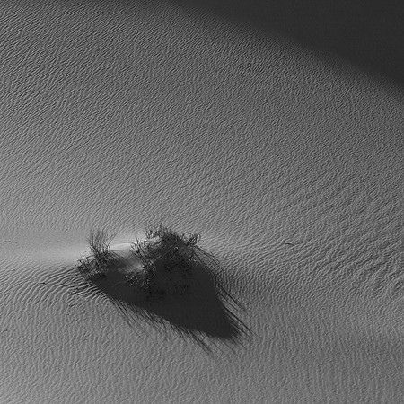 _OY_9256