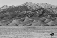 _OY_6918