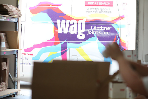 WAG (156)