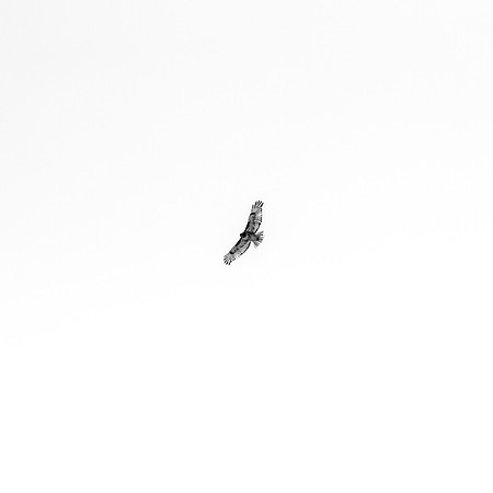 _OY_5047