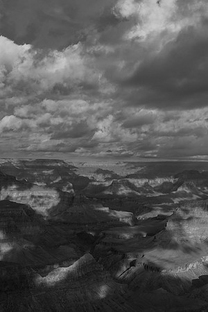 _OY_3808