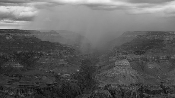 _OY_2614