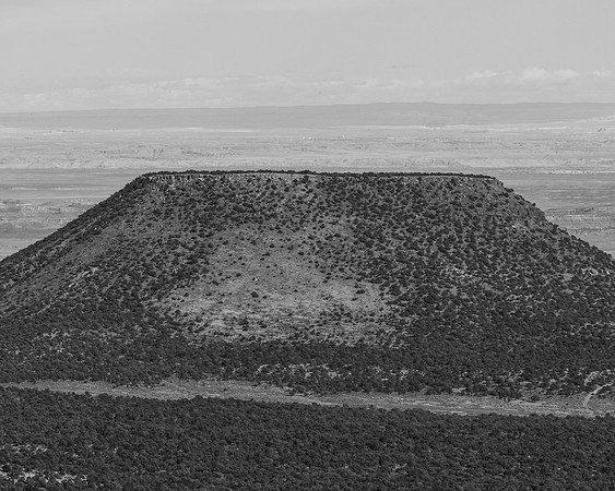 _OY_5241