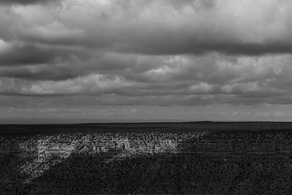 _OY_4195