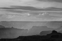 _OY_2294