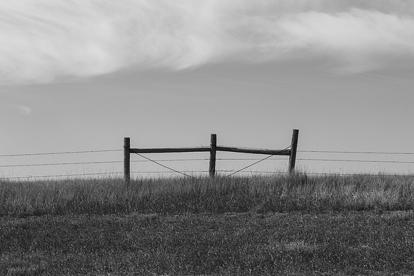 _OY_8211