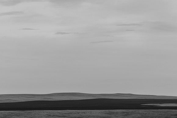 _OY_8260