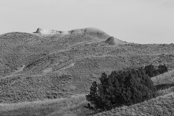 _OY_8232