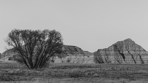_OY_8190