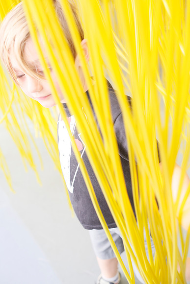 写真 (186)