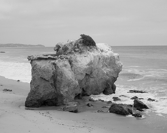 _OY_6073