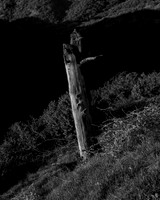 _DSF3485