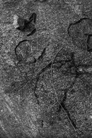 _DSF3276