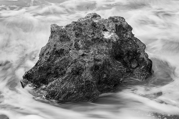_OY_6267