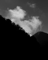 _OY_0463