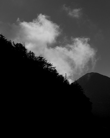 _OY_0463