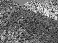 IMG_0181