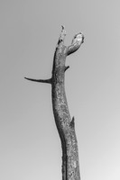 _DSF3760