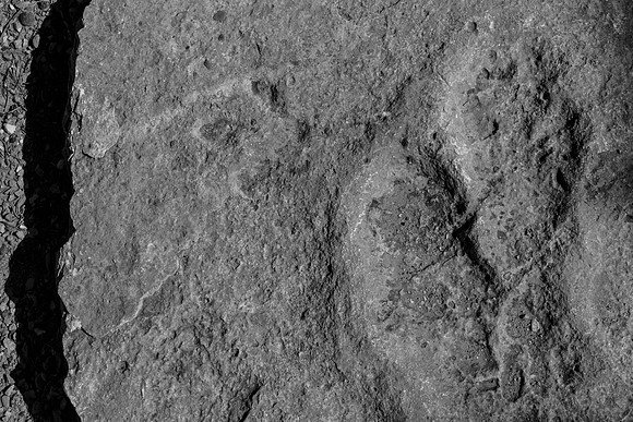 _OY_5533