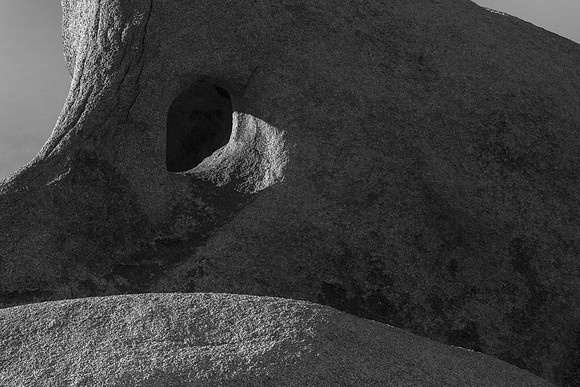 _OY_3321