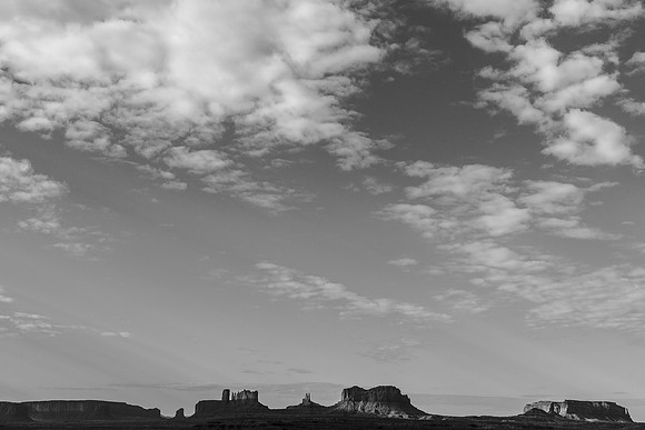_OY_6331