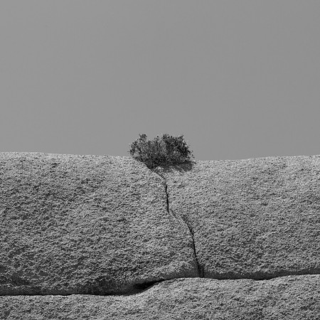 _OY_3420