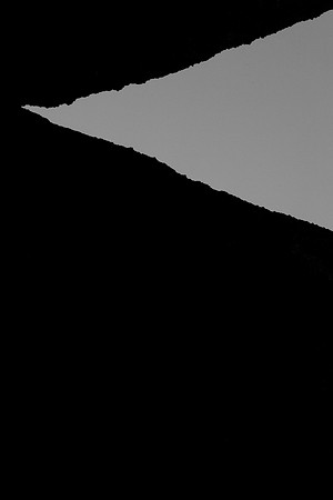 _OY_3569